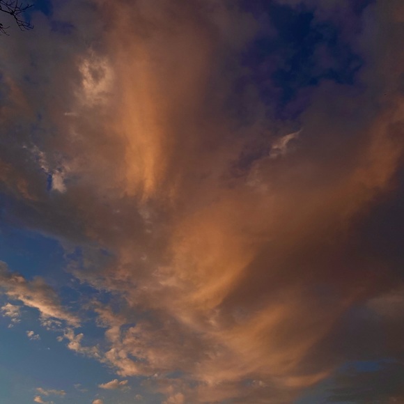 Meet your Posher, Calliope - Picture 1 of 1